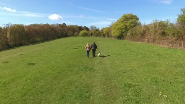 Ώριμο ζευγάρι και το σκυλί βόλτα — Αρχείο Βίντεο