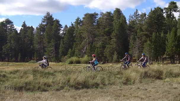 Familie fietsen langs lake — Stockvideo