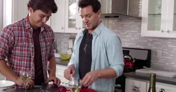 Mężczyzna para gejów, przygotowywanie posiłków — Wideo stockowe