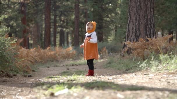 Toddler girl playing with pine cone — Stock Video