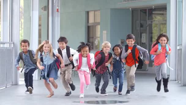 Basisschool kinderen lopen — Stockvideo