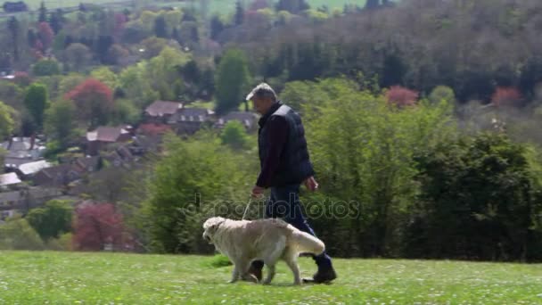 Hombre toma perro para caminar — Vídeo de stock