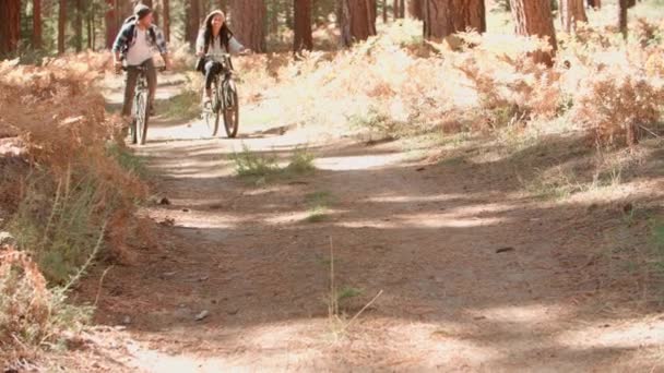 Sorrindo casal de bicicleta através de uma floresta — Vídeo de Stock