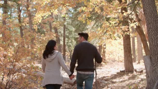 Couple hispanique marchant dans la forêt — Video