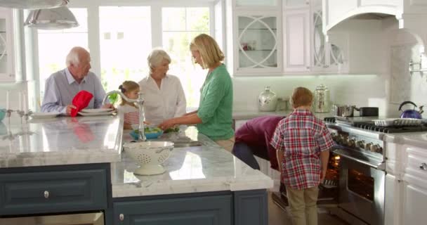 Familj med morföräldrar göra stekt kalkon — Stockvideo
