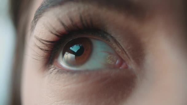 Mulher olho castanho — Vídeo de Stock