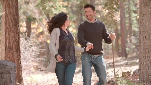 Hispanic couple walk in forest — Stock Video