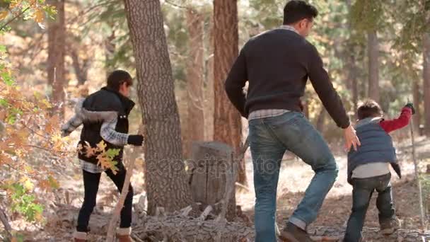 Padre con dos hijos en el bosque — Vídeo de stock