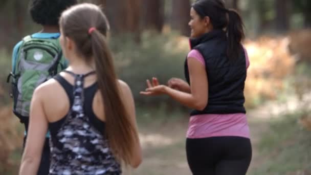 Mulheres corredoras andando na floresta falando — Vídeo de Stock