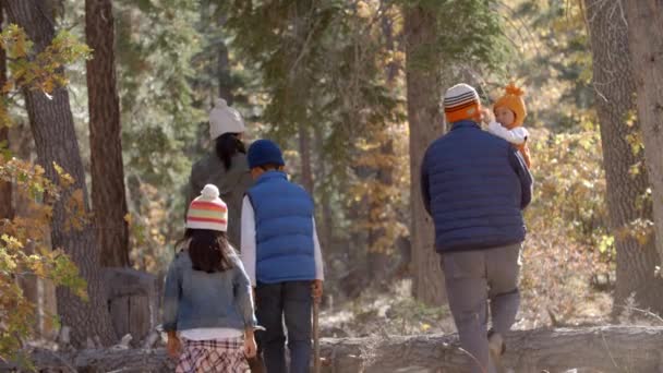 Família asiática caminhadas juntas em uma floresta — Vídeo de Stock