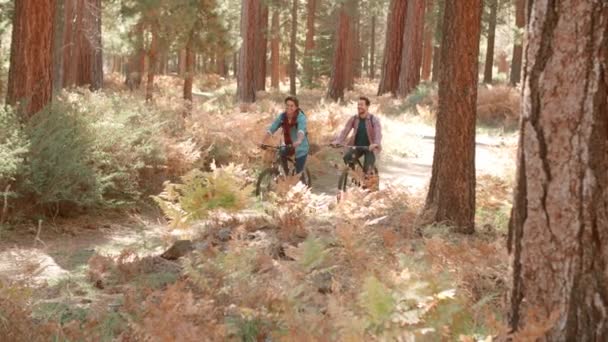 Couple masculin faisant du vélo en forêt — Video