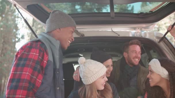 Друзья разговаривают на открытом заднем сидении машины — стоковое видео