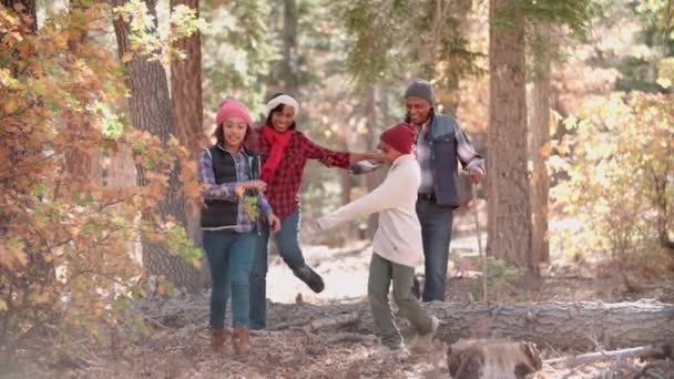 Grands-parents avec petits-enfants randonnée — Video