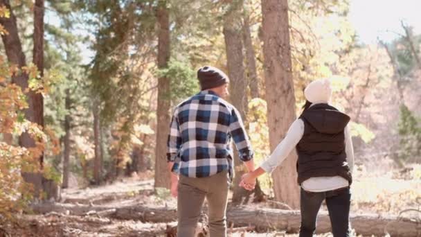 Пара, держась за руки и гуляя в лесу — стоковое видео