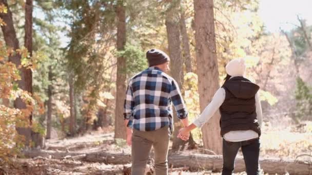 Pareja cogida de la mano y caminando en el bosque — Vídeos de Stock