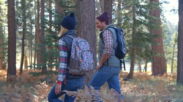 夫妇在森林步道上走远 — 图库视频影像