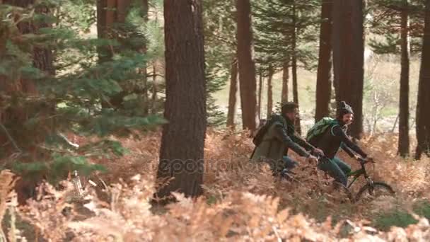 骑自行车在森林中的朋友 — 图库视频影像