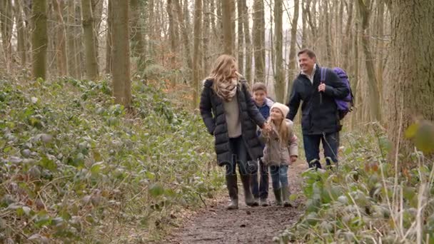 Família caminhando pela floresta — Vídeo de Stock