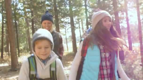 Familia caminando por un sendero forestal — Vídeos de Stock