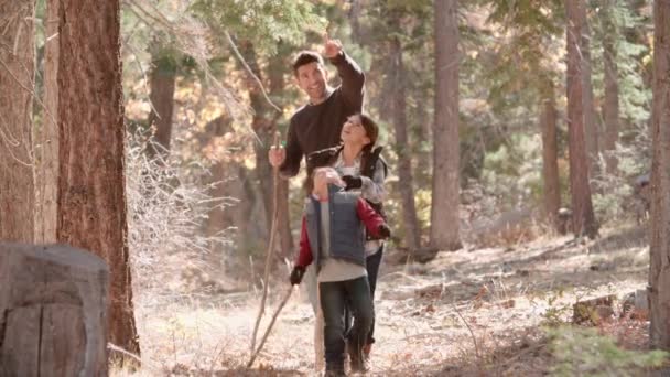 Vader wandelen in het bos met twee kinderen — Stockvideo