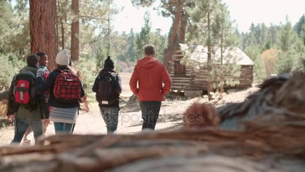 Seis amigos caminham na floresta — Vídeo de Stock