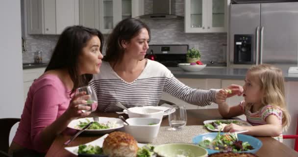 Lesbian couple and daughter — Stock Video