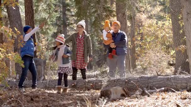 Família asiática feliz desfrutando de uma caminhada — Vídeo de Stock