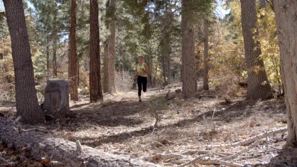Jovem mulher correndo em uma floresta — Vídeo de Stock