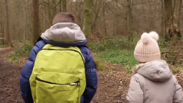 Дети ходят по лесу — стоковое видео