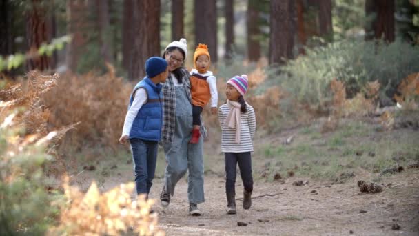 Asian mother with three children — Stock Video