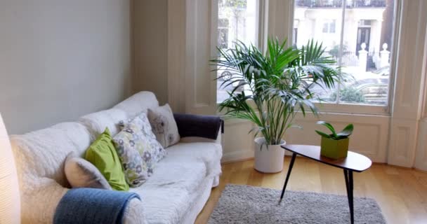 Espace de vie ouvert dans l'appartement — Video