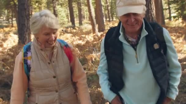 Äldre par promenader i en skog — Stockvideo