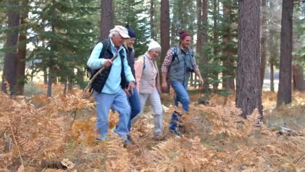 Couples âgés et adultes moyens — Video