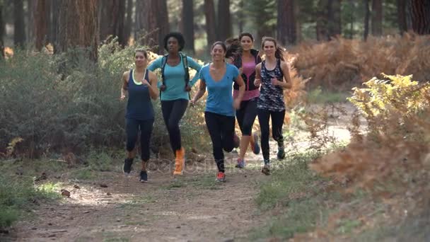 Femmes adultes courant dans une forêt — Video