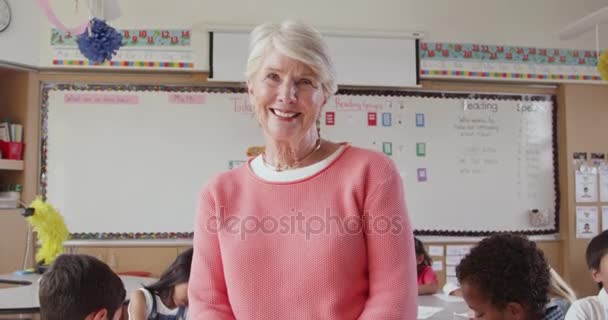 Senior vrouwelijke leraar — Stockvideo