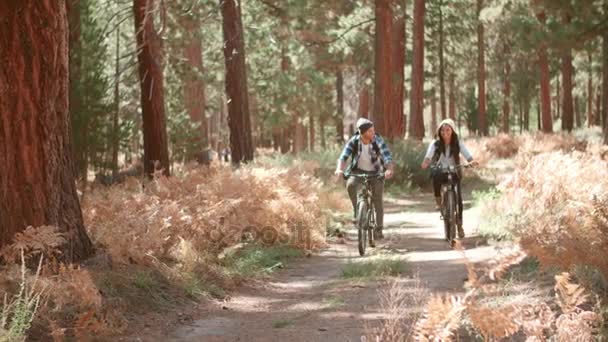 Smiling couple cycling through a forest Royalty Free Stock Footage