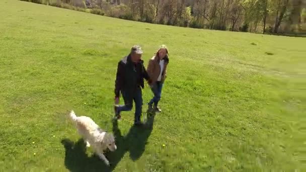 Зрелая пара и собака на прогулке — стоковое видео