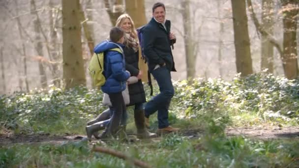 Ormanın içinde yürümek Dört Kişilik Aile — Stok video