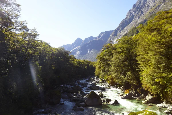 밀 포드 사운드 근처 산을 통해 강 — 스톡 사진