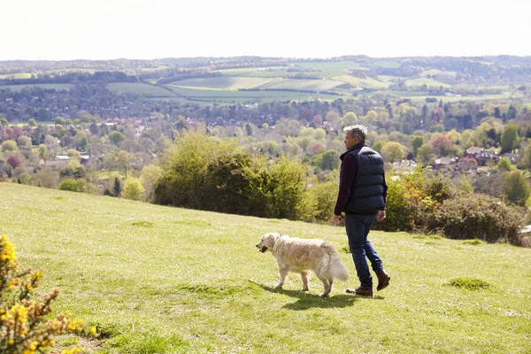 Man neemt Golden Retriever voor wandeling — Stockfoto