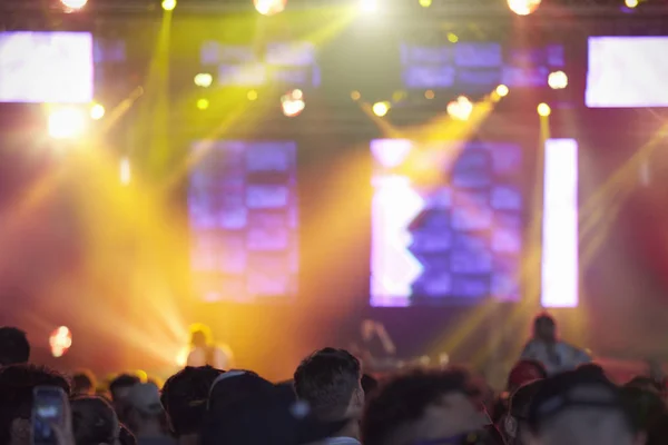 Audience Enjoying Music Festival — Stock Photo, Image