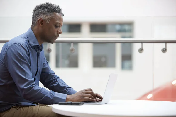 Hombre negro de mediana edad usando portátil — Foto de Stock