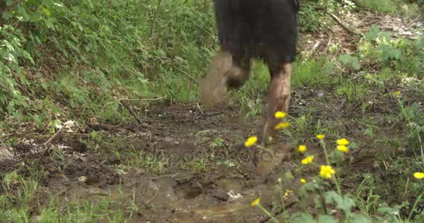 Competidores corriendo a través del barro — Vídeos de Stock