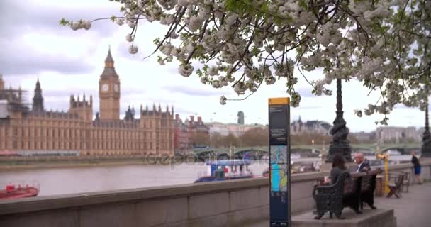 Houses of Parliament from Albert Embankment — Stock Video