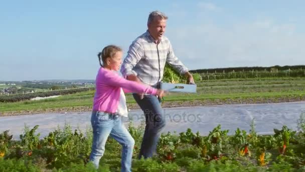 Agricultor con hija cosechando zanahorias — Vídeo de stock