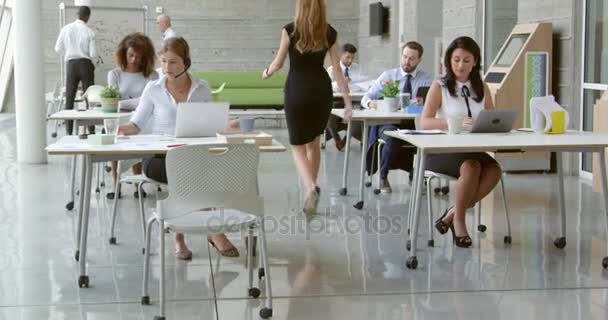 Επιχειρηματίες που εργάζονται σε γραφεία στο γραφείο — Αρχείο Βίντεο