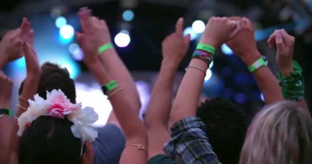Seyirci bir gig Müzik Festivali — Stok video