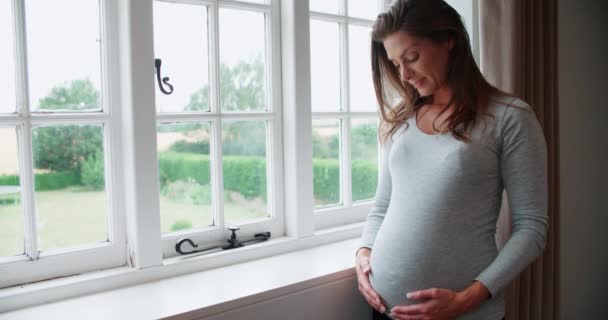 Sorridente donna incinta — Video Stock
