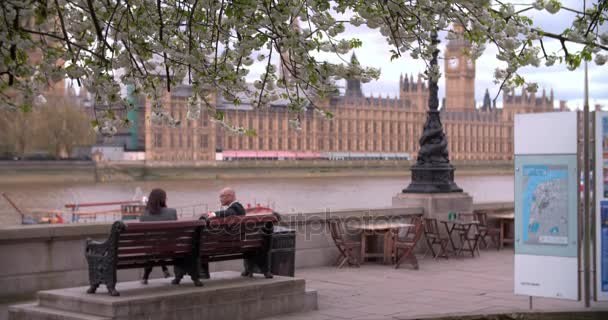 Camere del Parlamento da Albert Embankment — Video Stock