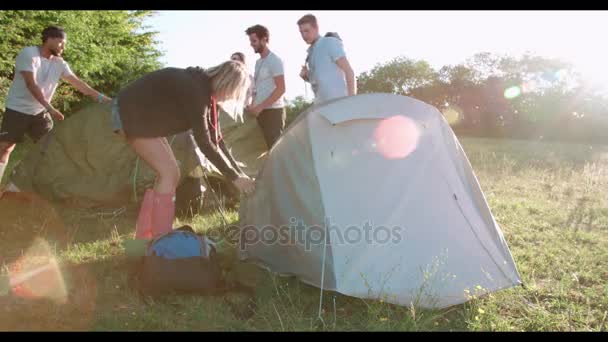 Amici che lanciano tende sulle vacanze in campeggio — Video Stock